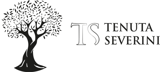 TENUTA SEVERINI S.S. AGRICOLA